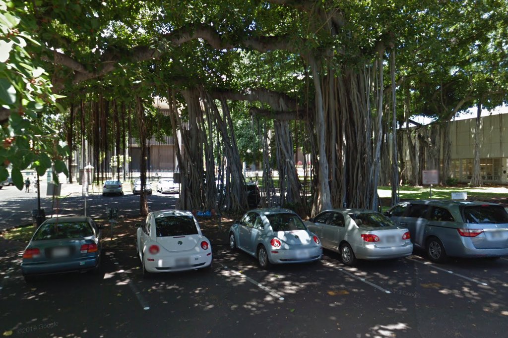 Hawaii Animal Sanctuary