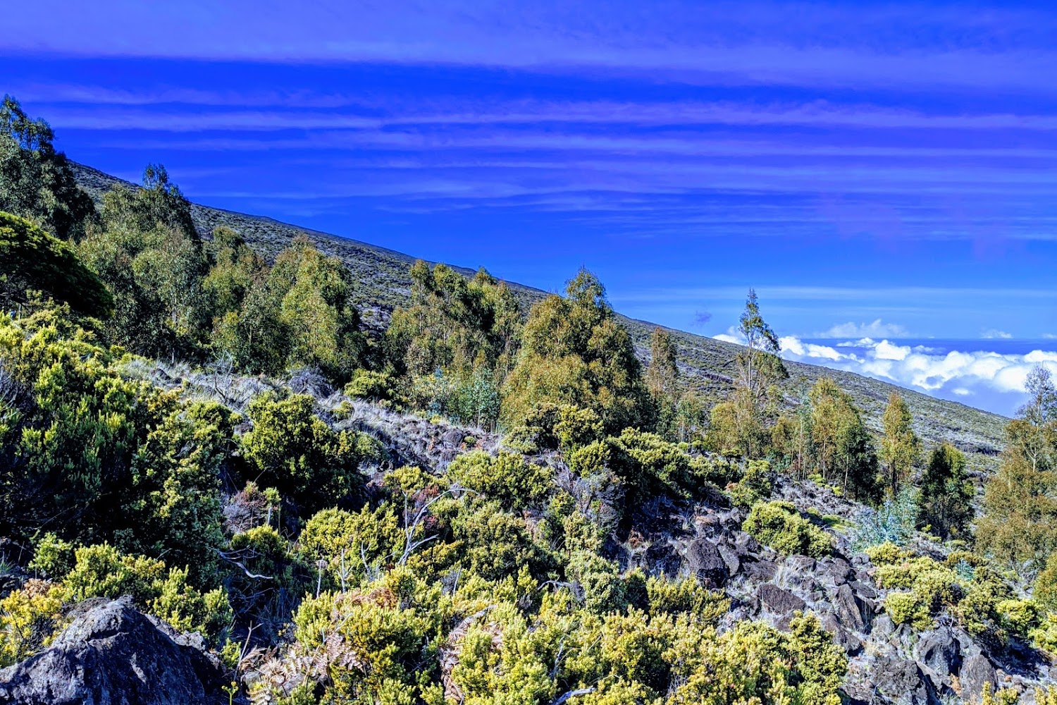 East Maui Animal Refuge