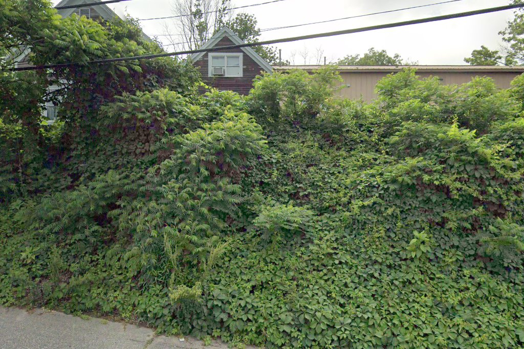 Creature Comforts Animal