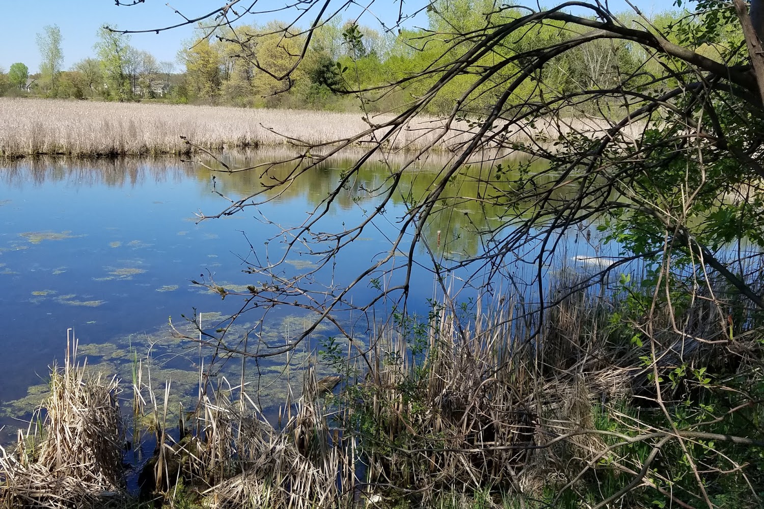 The Animal Sanctuary of St. Croix Valley