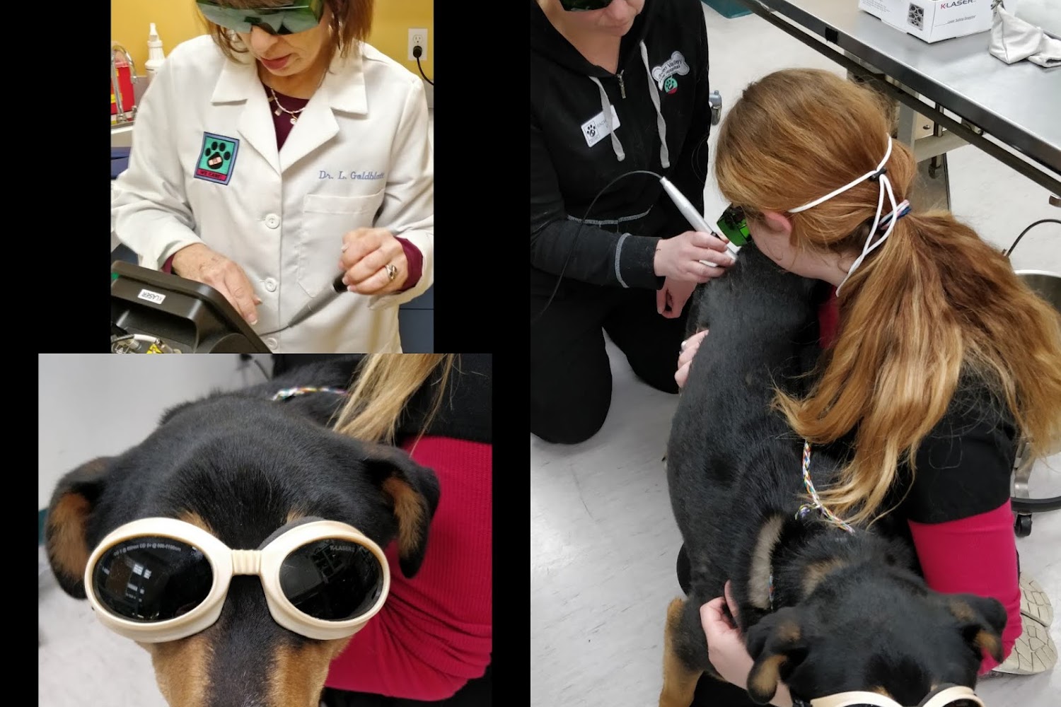 Golden Valley Animal Hospital