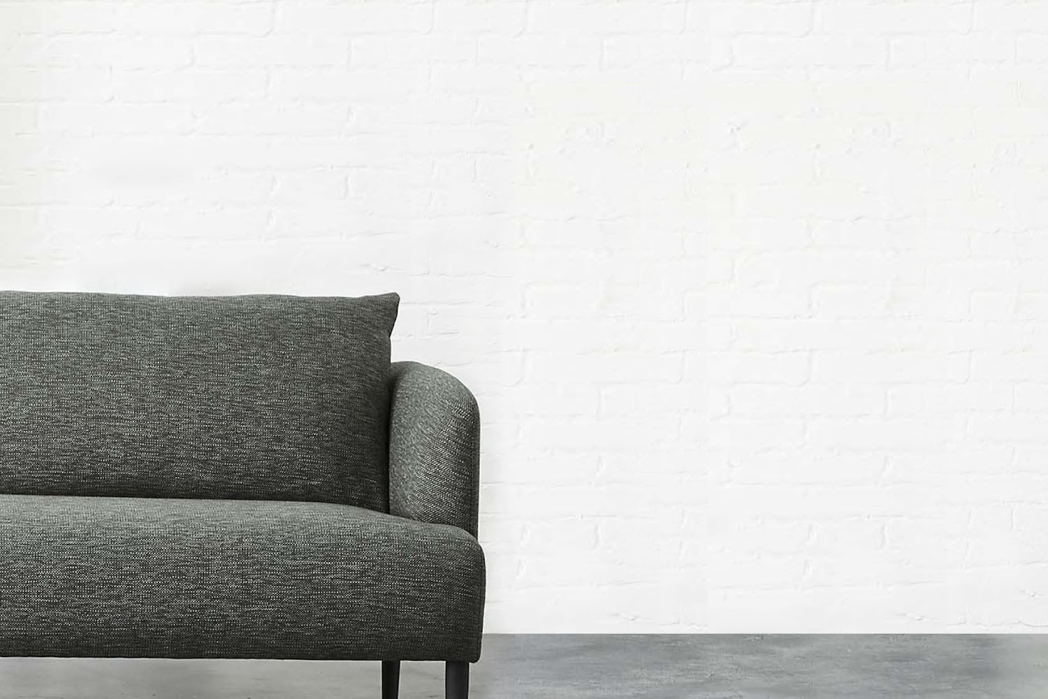 Boston Animal Control