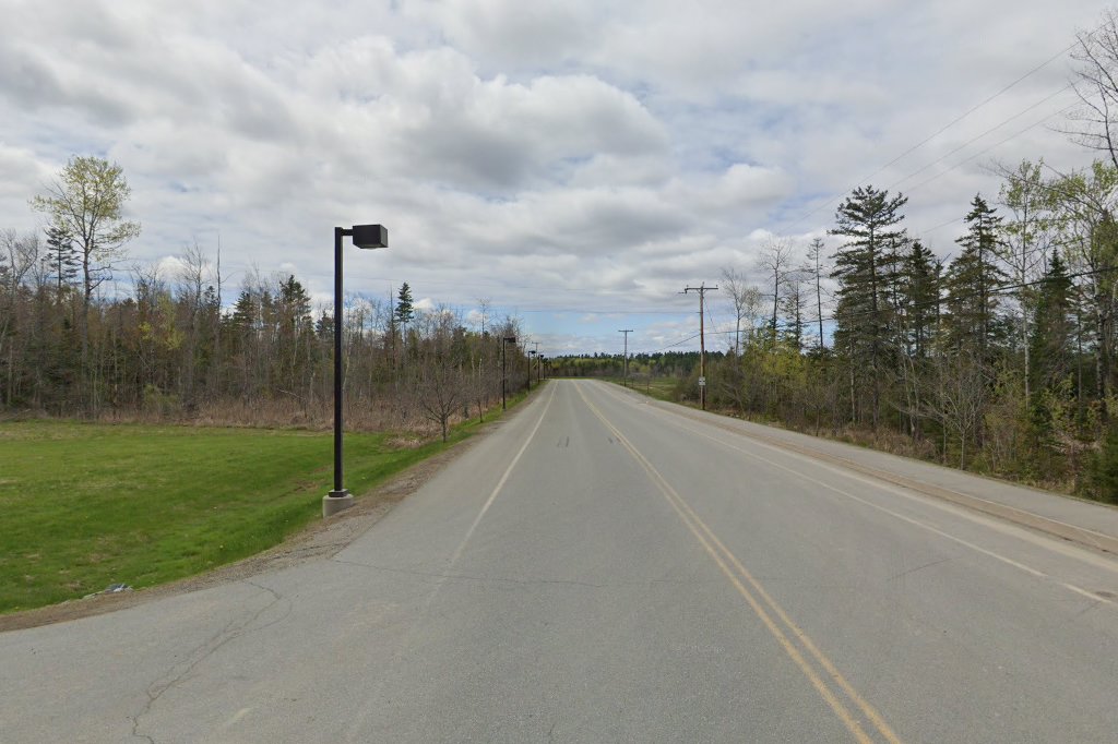 Old Town Animal Control