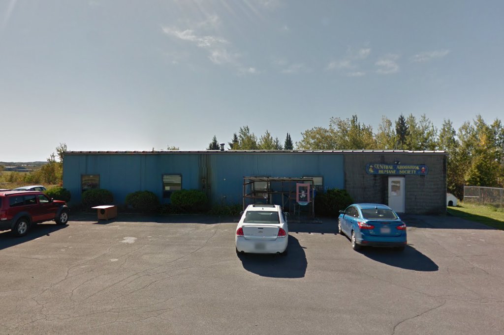 Central Aroostook Humane Socty