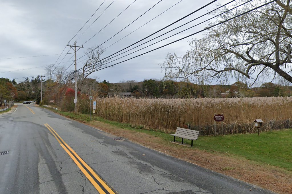 Carrie Seaman Animal Shelter