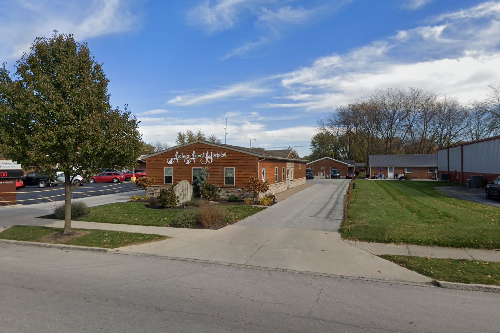 Auglaize Animal Hospital