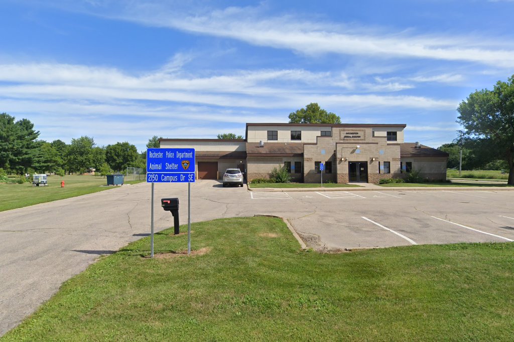 Rochester Animal Control