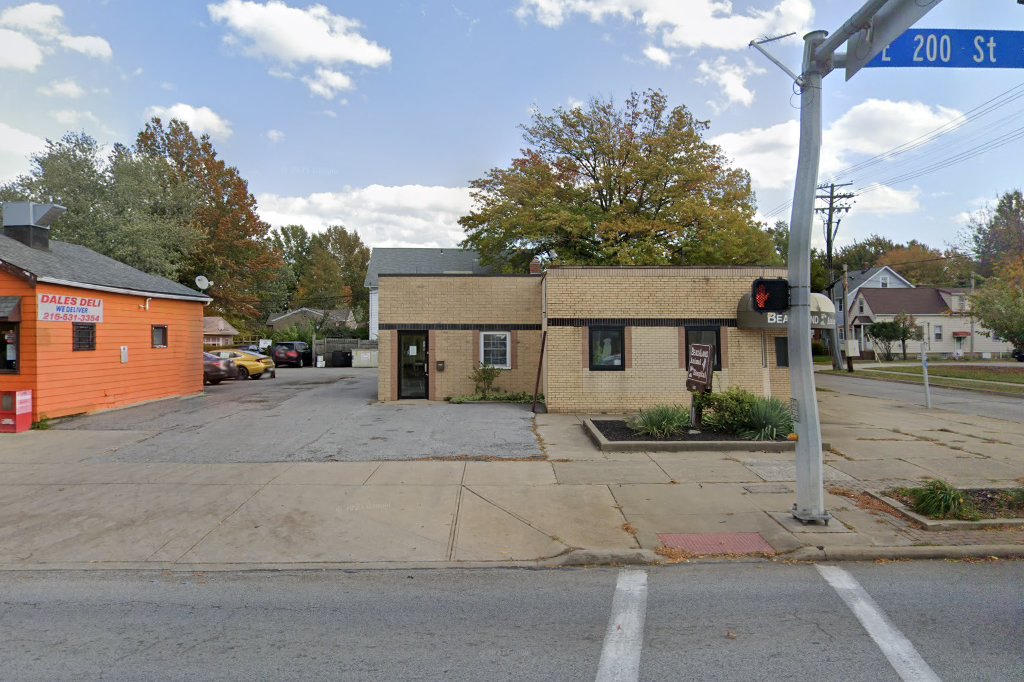 Beachland Animal Hospital