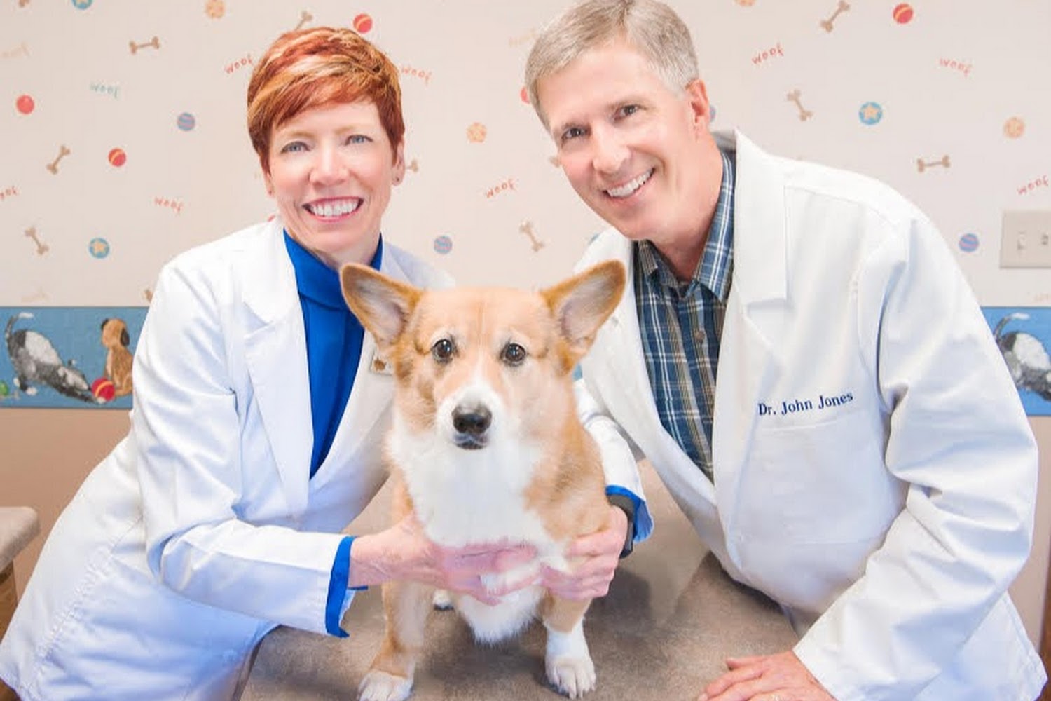 Delphos Animal Hospital