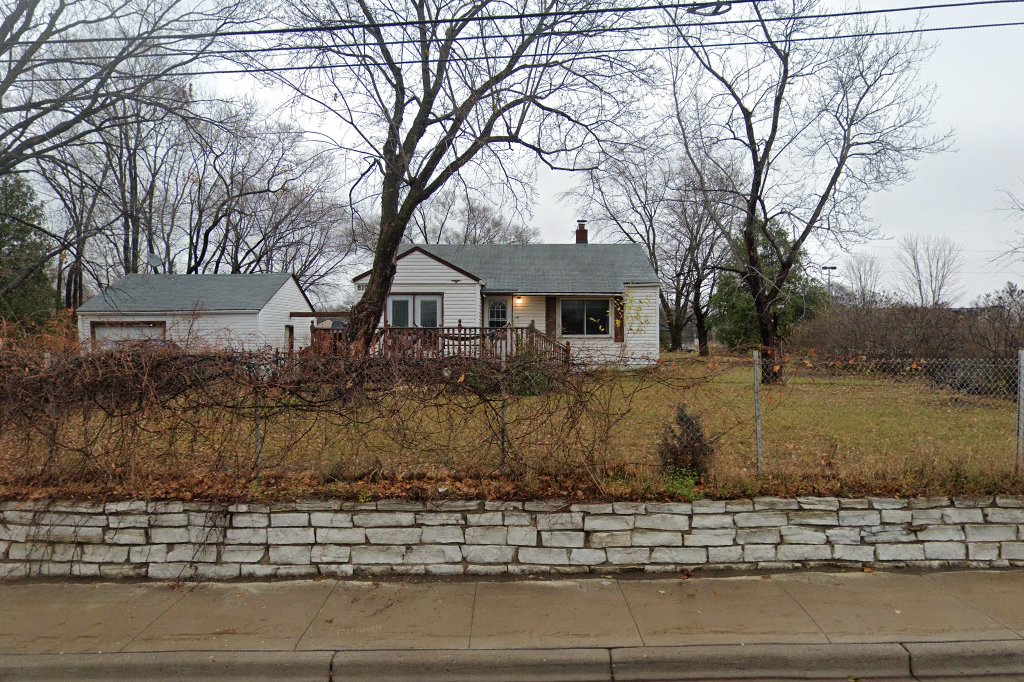 Itty Bitty Dog Rescue