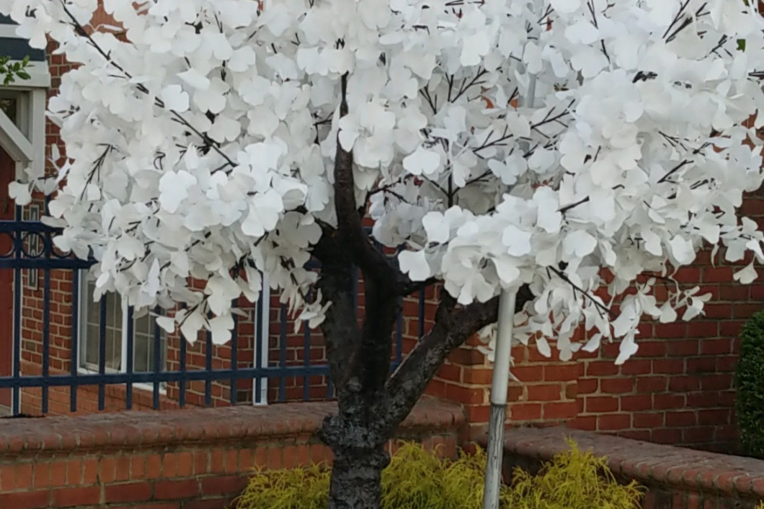 Church of the Angels