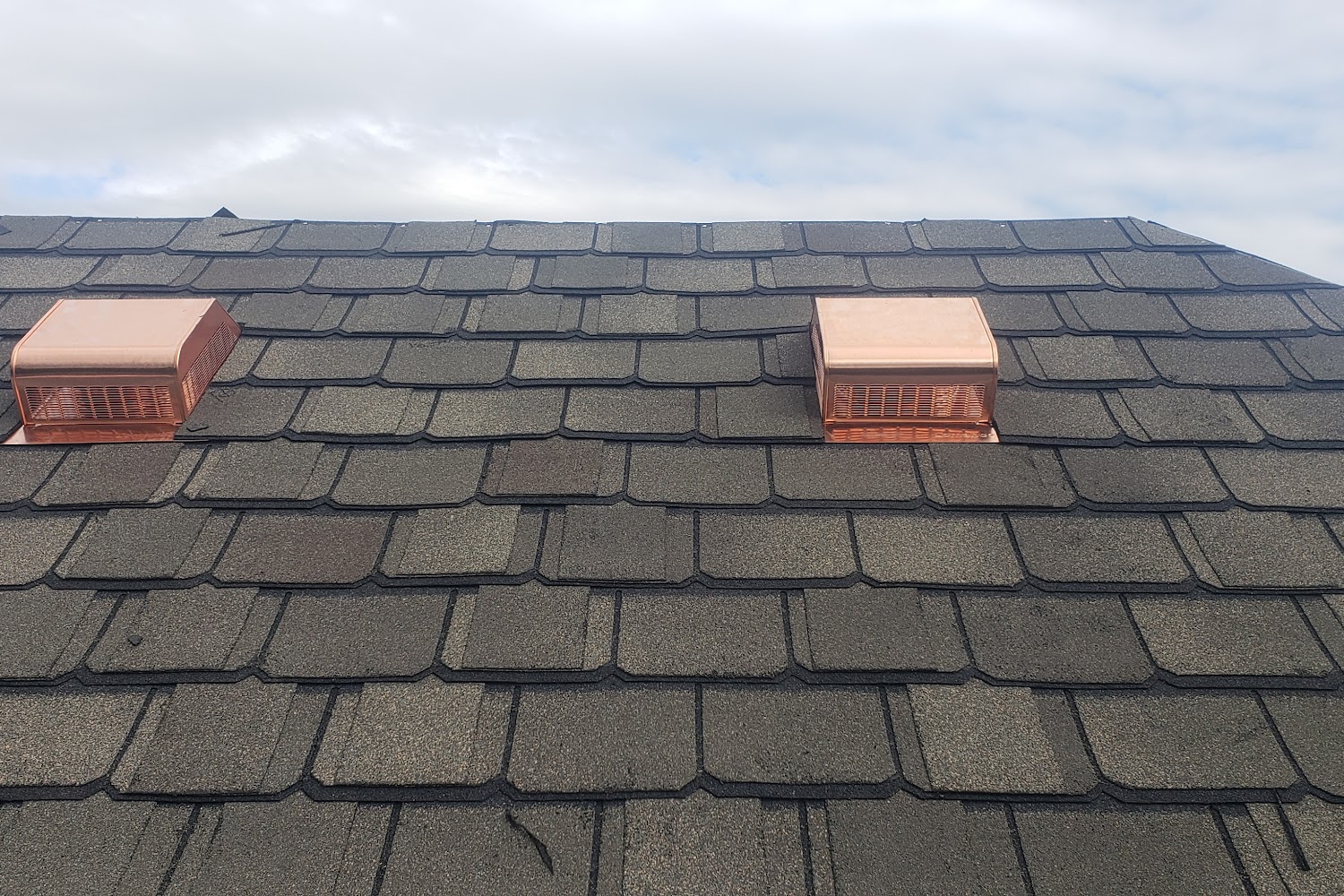 Veterinary Emergency & Surgery Hospital