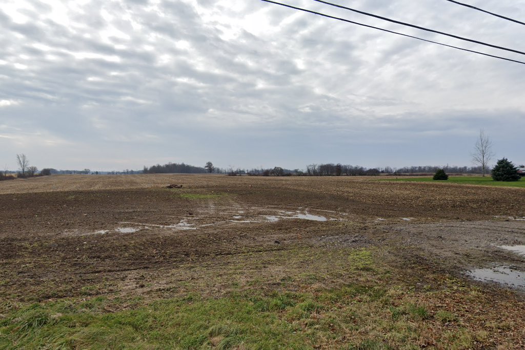 PAWS & Tails Rescue, Inc.