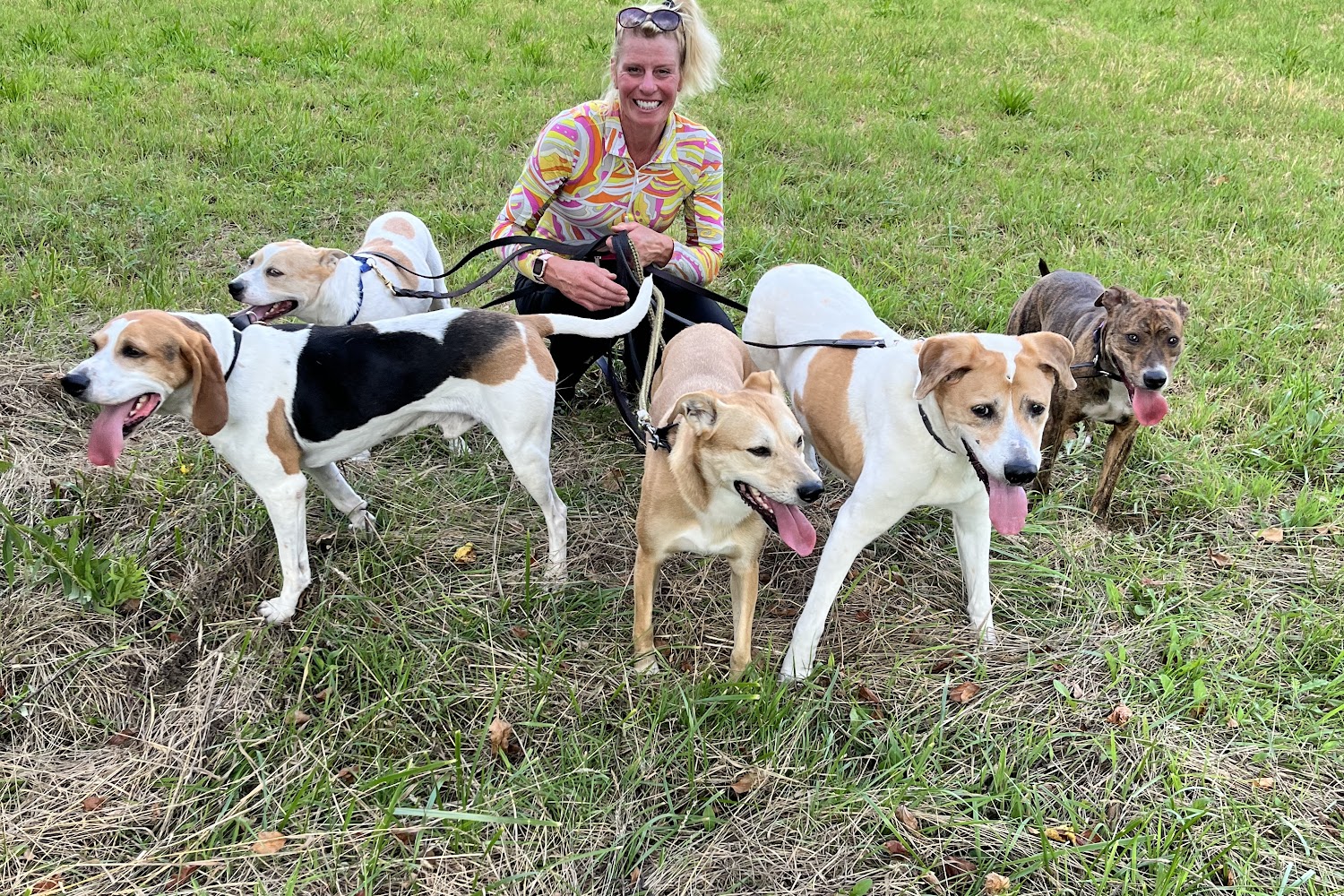 Medina County Animal Shelter