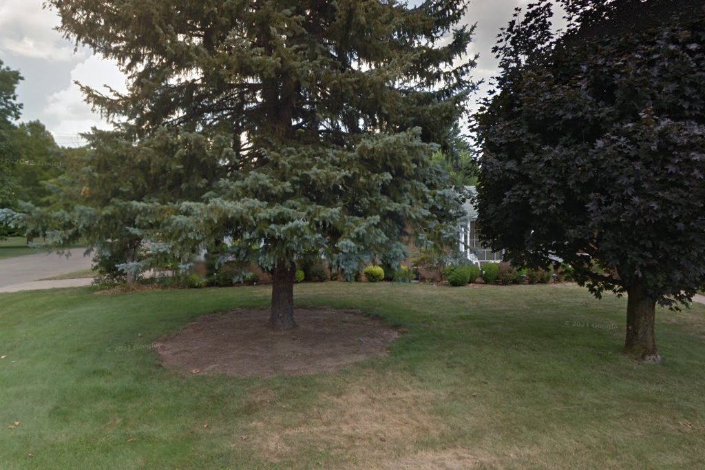 Humane Animal Treatment Association