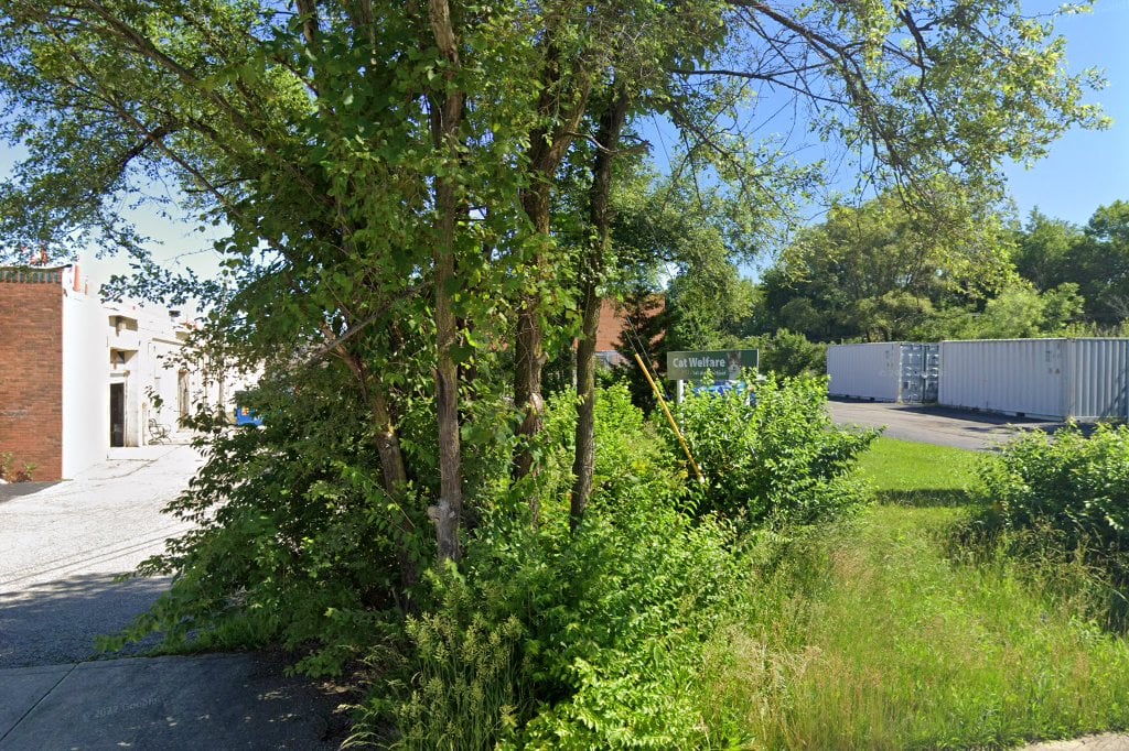 Cat Welfare Association Inc