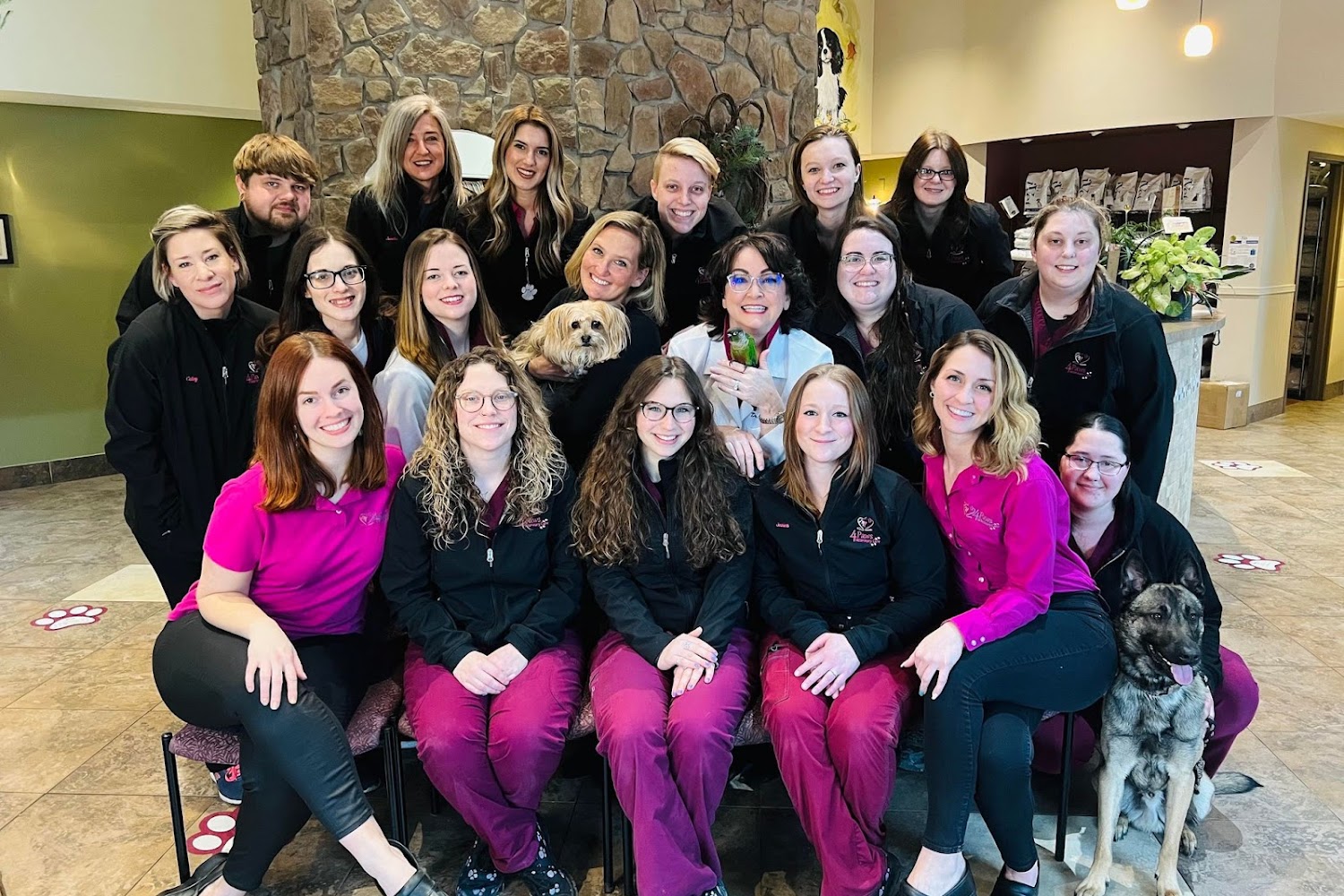 4 Paws Veterinary Care
