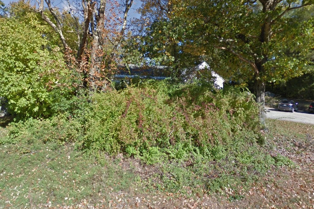 Meredith Animal Hospital