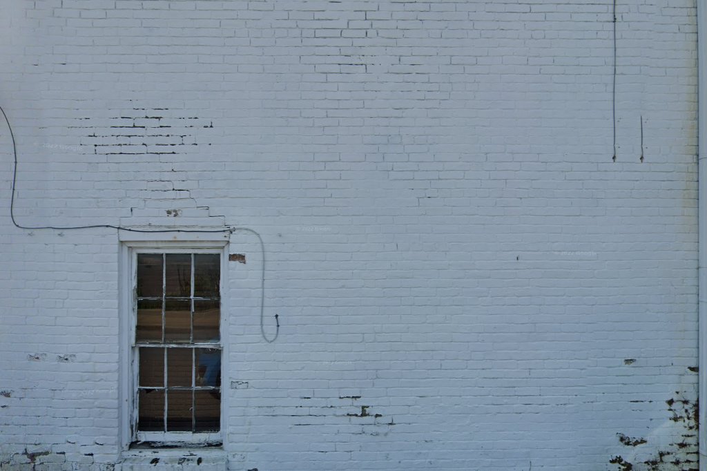 South Water Animal Hospital