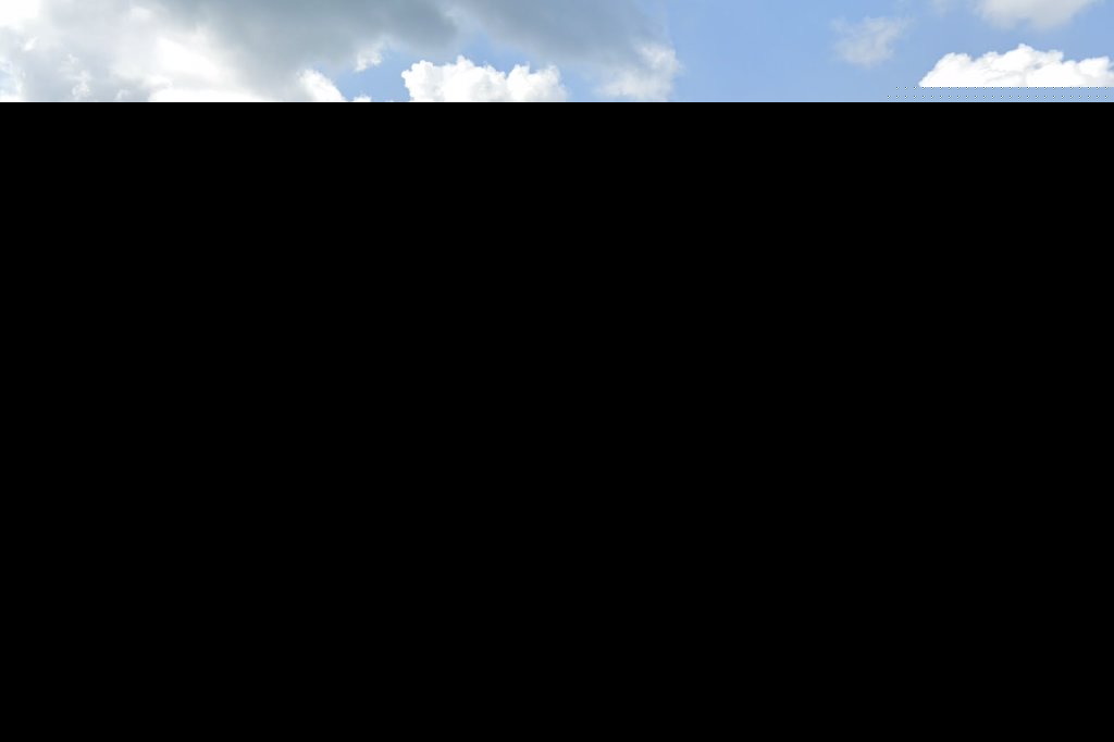 Belle Forest Animal Hospital