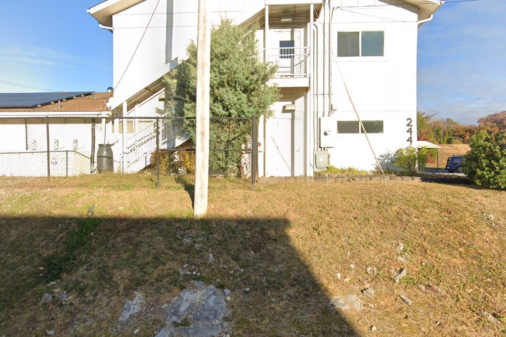 Ideal Veterinary Hospital