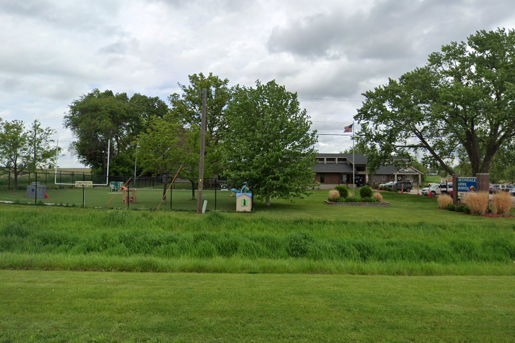 Avondale Animal Hospital