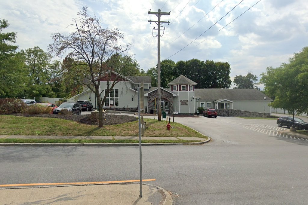 Arlington Animal Hospital