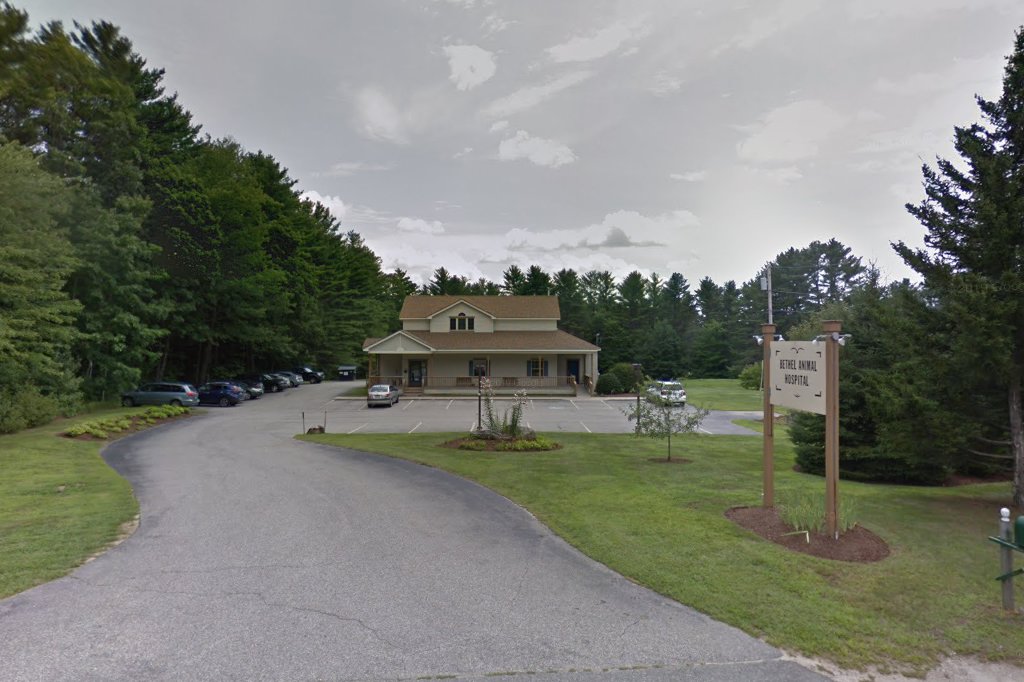 Bethel Animal Hospital