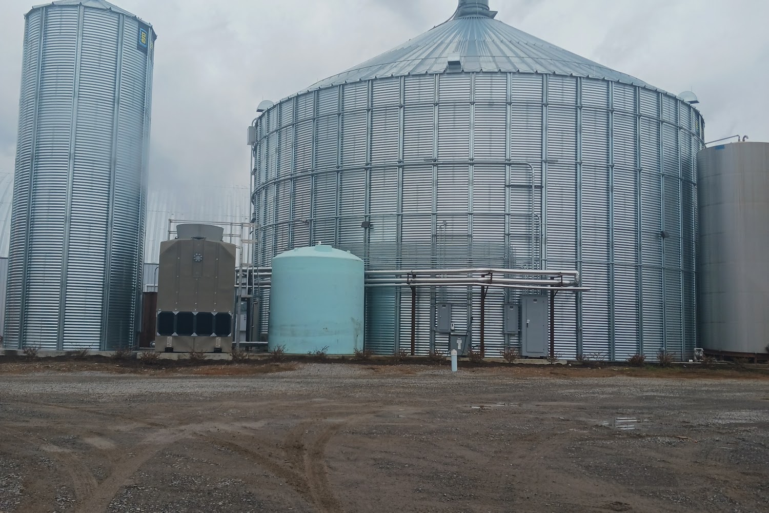 Cheatham Animal Rescue Effort