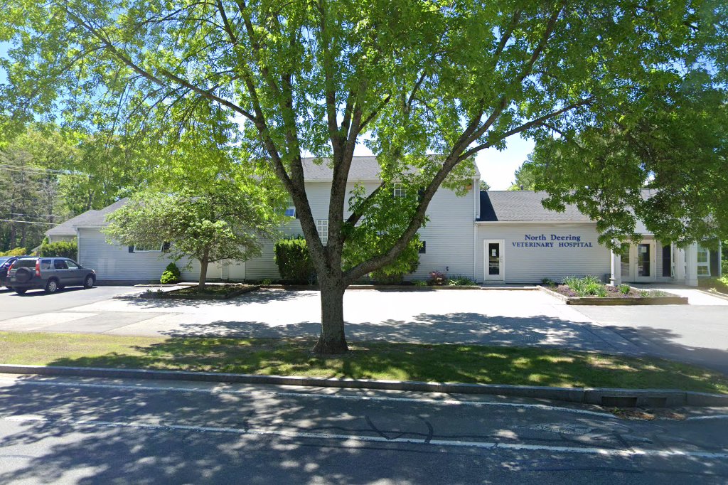 North Deering Veterinary Hospital