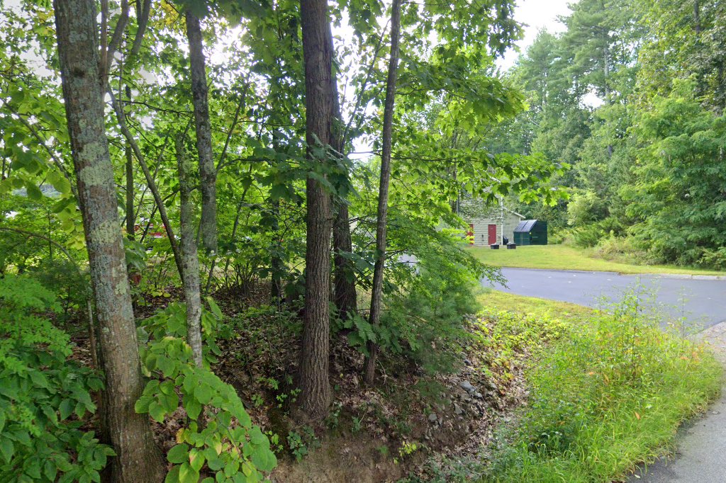 Veterinary Emergency & Surgery Hospital