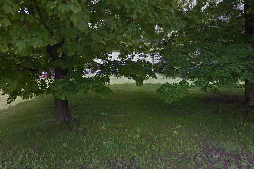 Catskill Animal Hospital