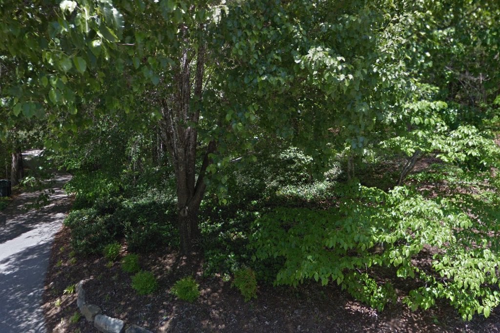 Coast to Coast Dachshund Rescue