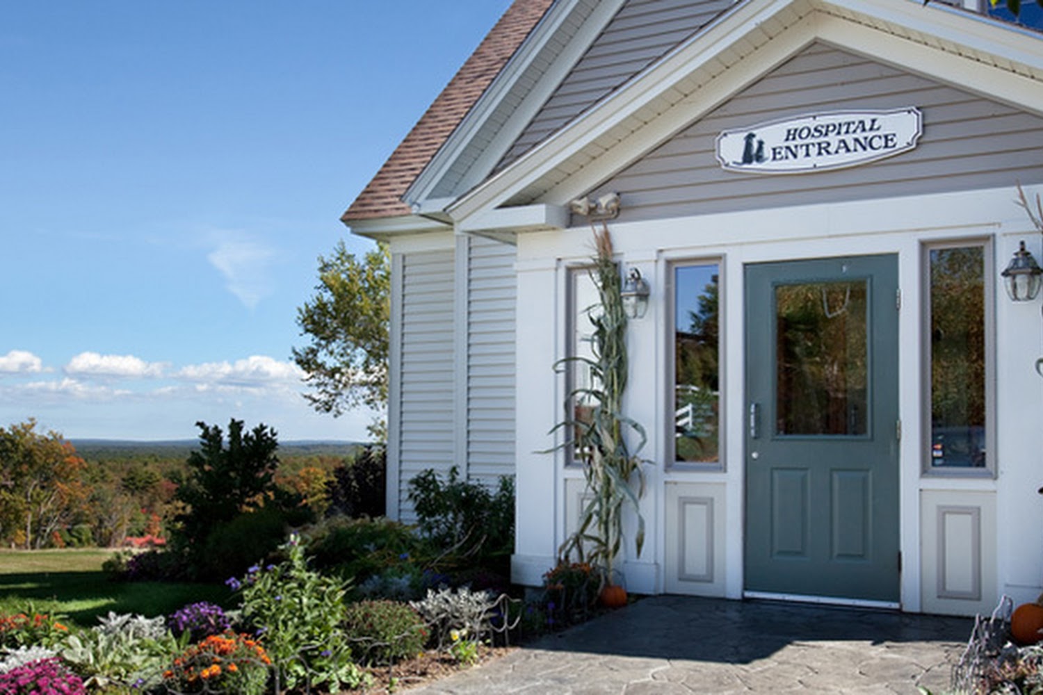 Broadview Animal Hospital