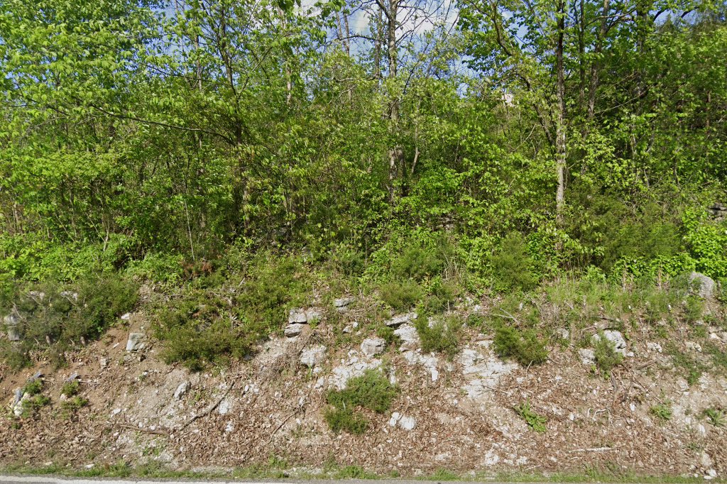 Campbell County Animal Shelter