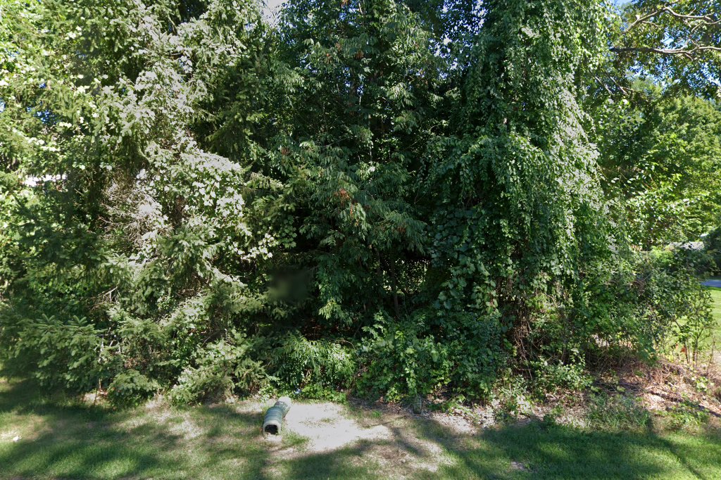 Country Knolls Animal Hospital