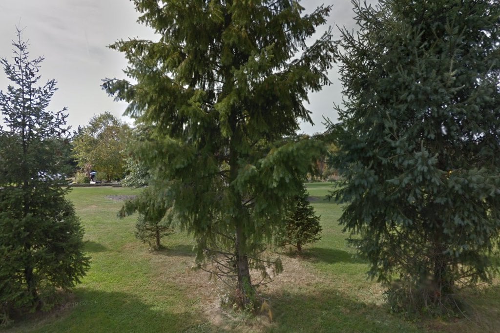 Five Points Veterinary Hospital