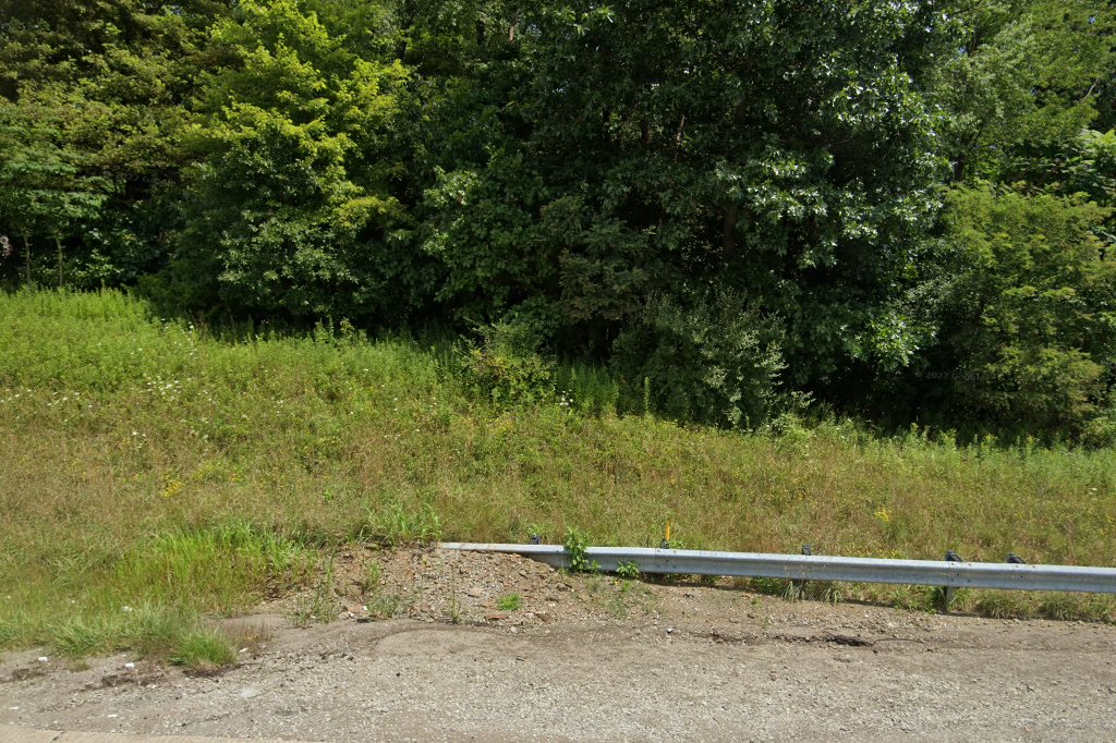 Fraser Veterinary Clinic and Hospital