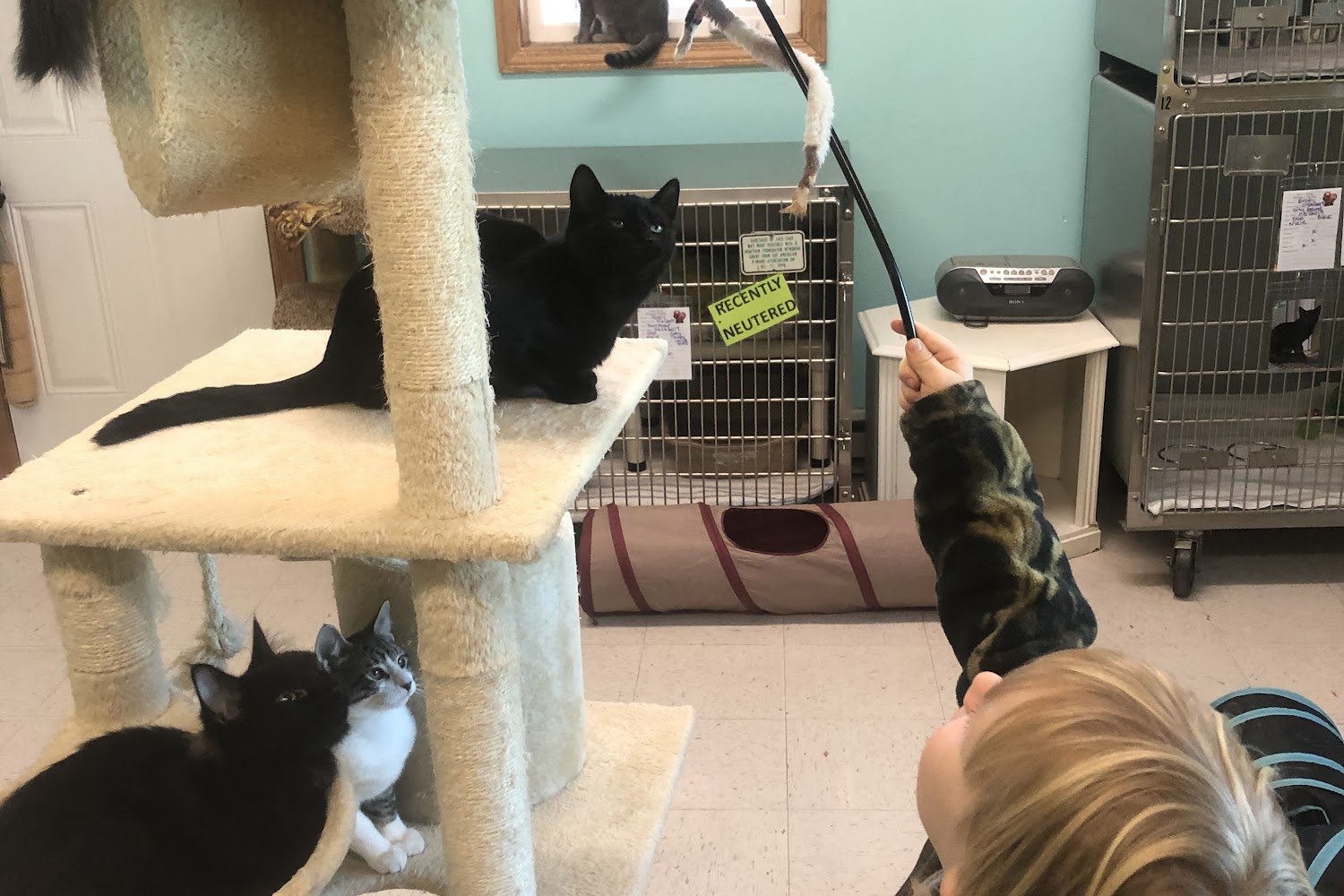 James River Humane Society