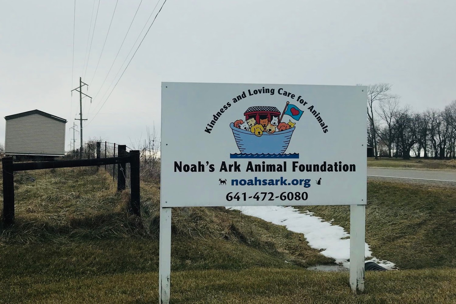 Noah's Ark Animal Foundation