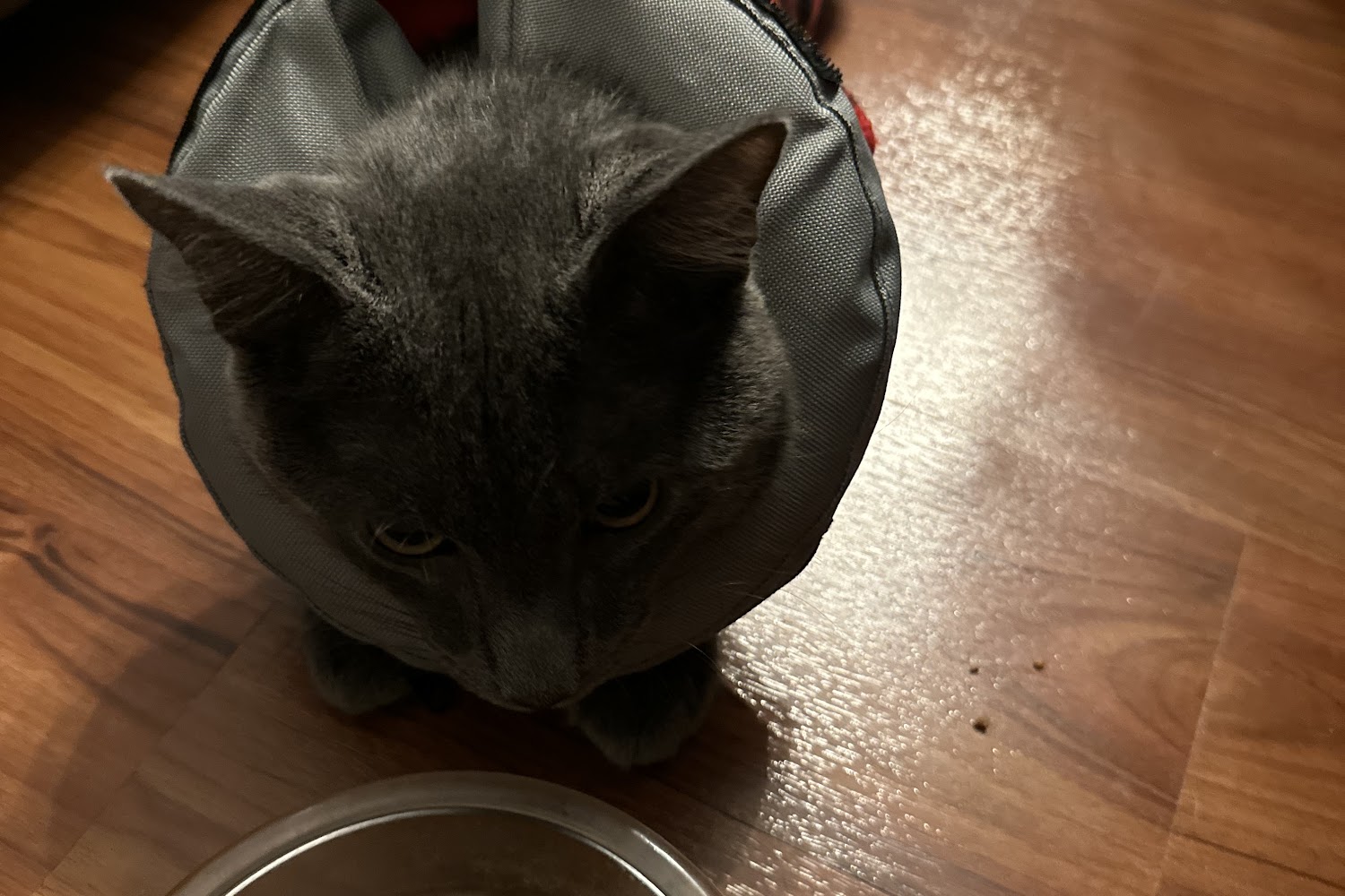 State Line Veterinary Hospital