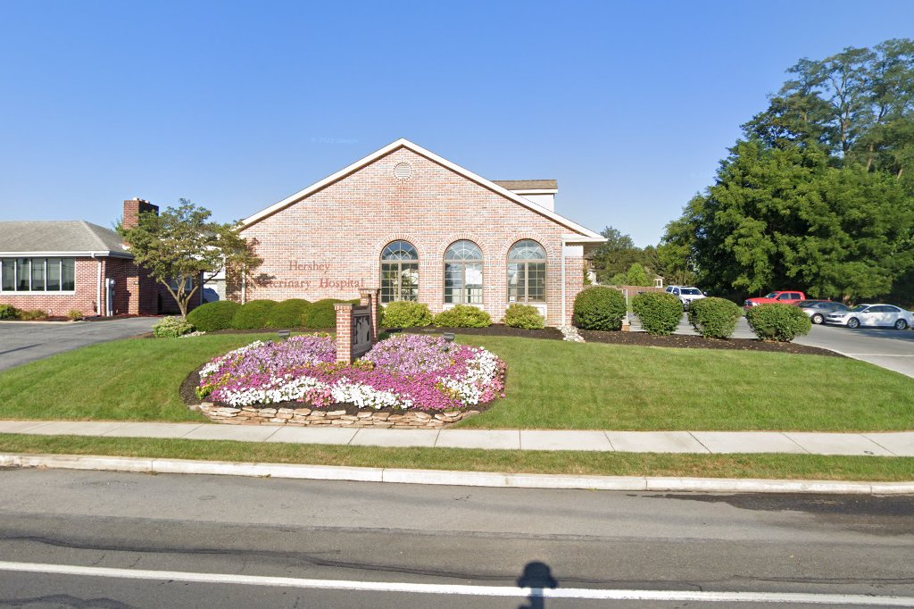 Hershey Veterinary Hospital