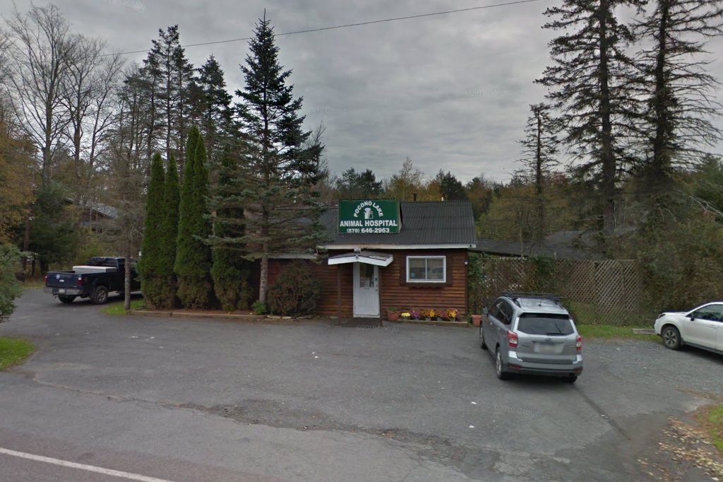 Pocono Lake Animal Hospital