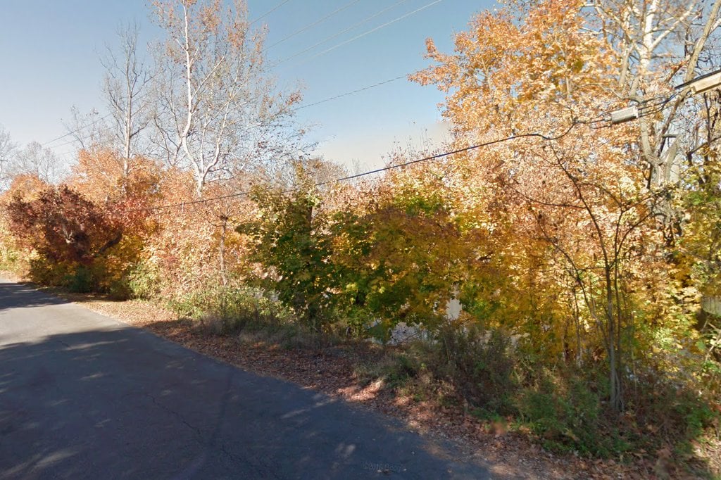 Serenity Haven Rescue