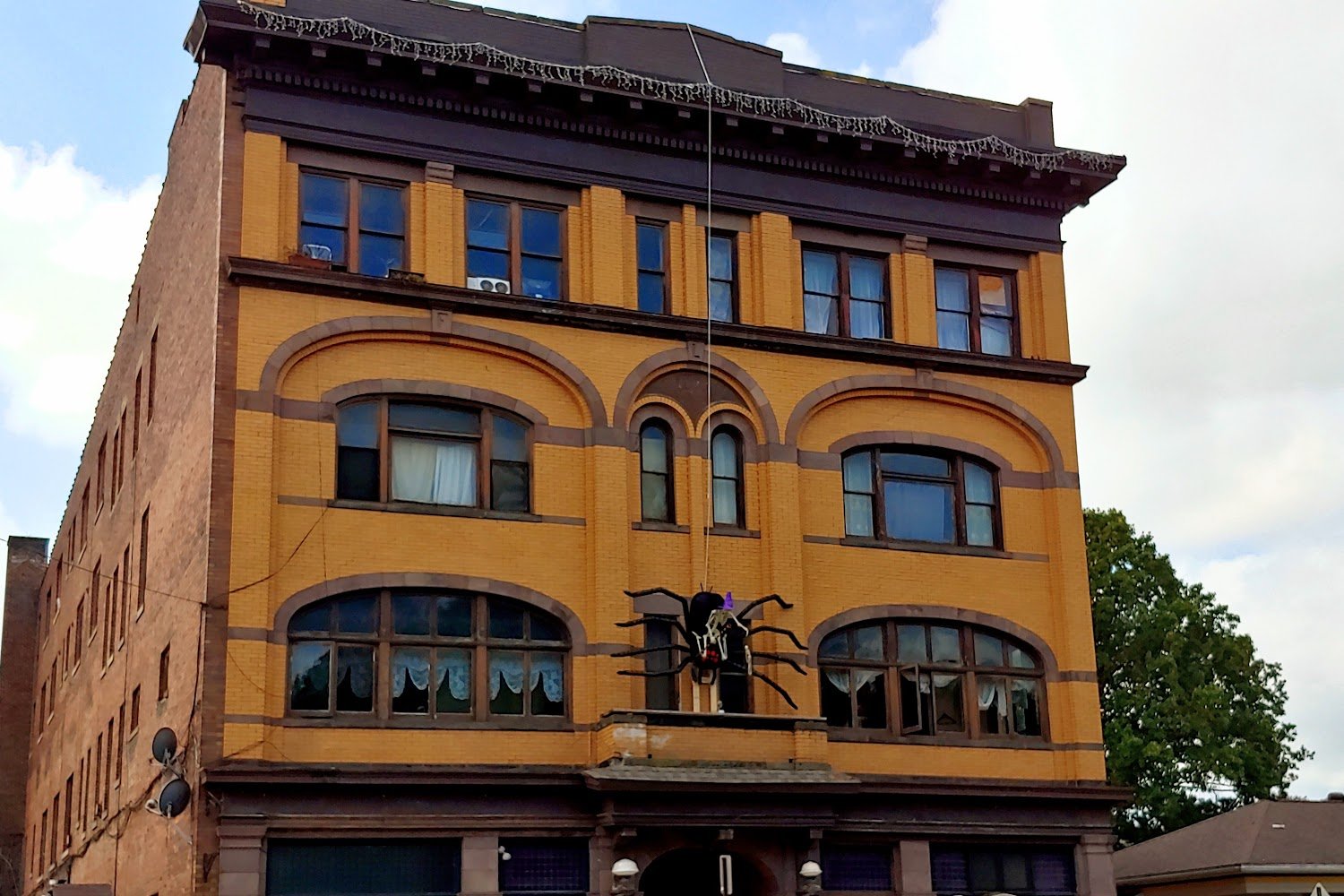 Waggin' Woods Animal Sanctuary