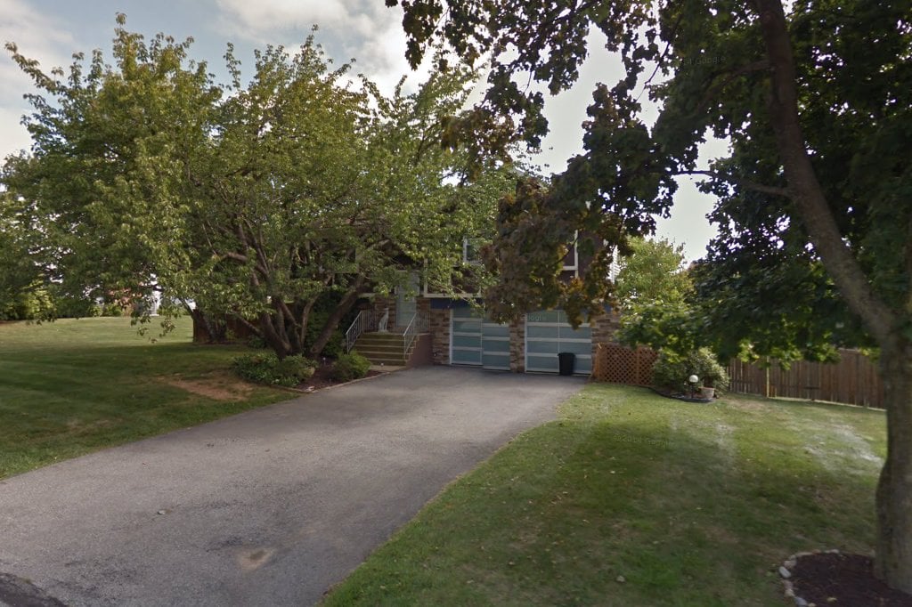 Linda Ann's Greyhound Rescue, Inc.