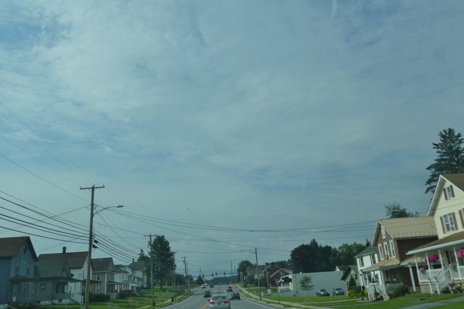 Aniumal Friends of Elk and Cameron Counties