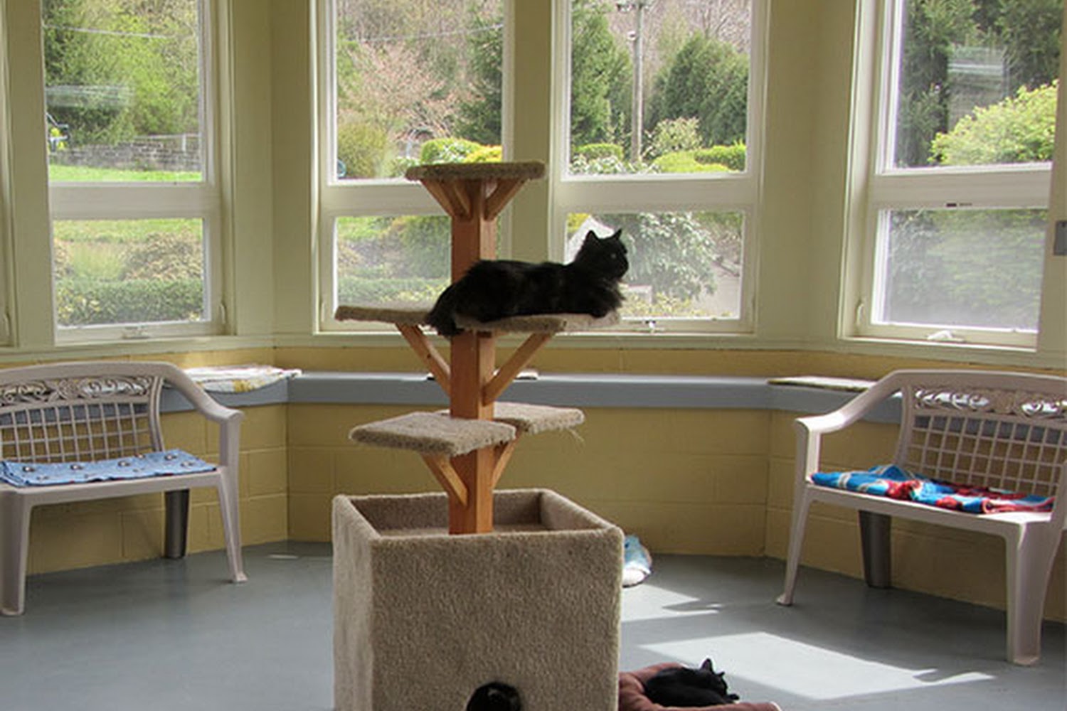 Action For Animals Humane Society