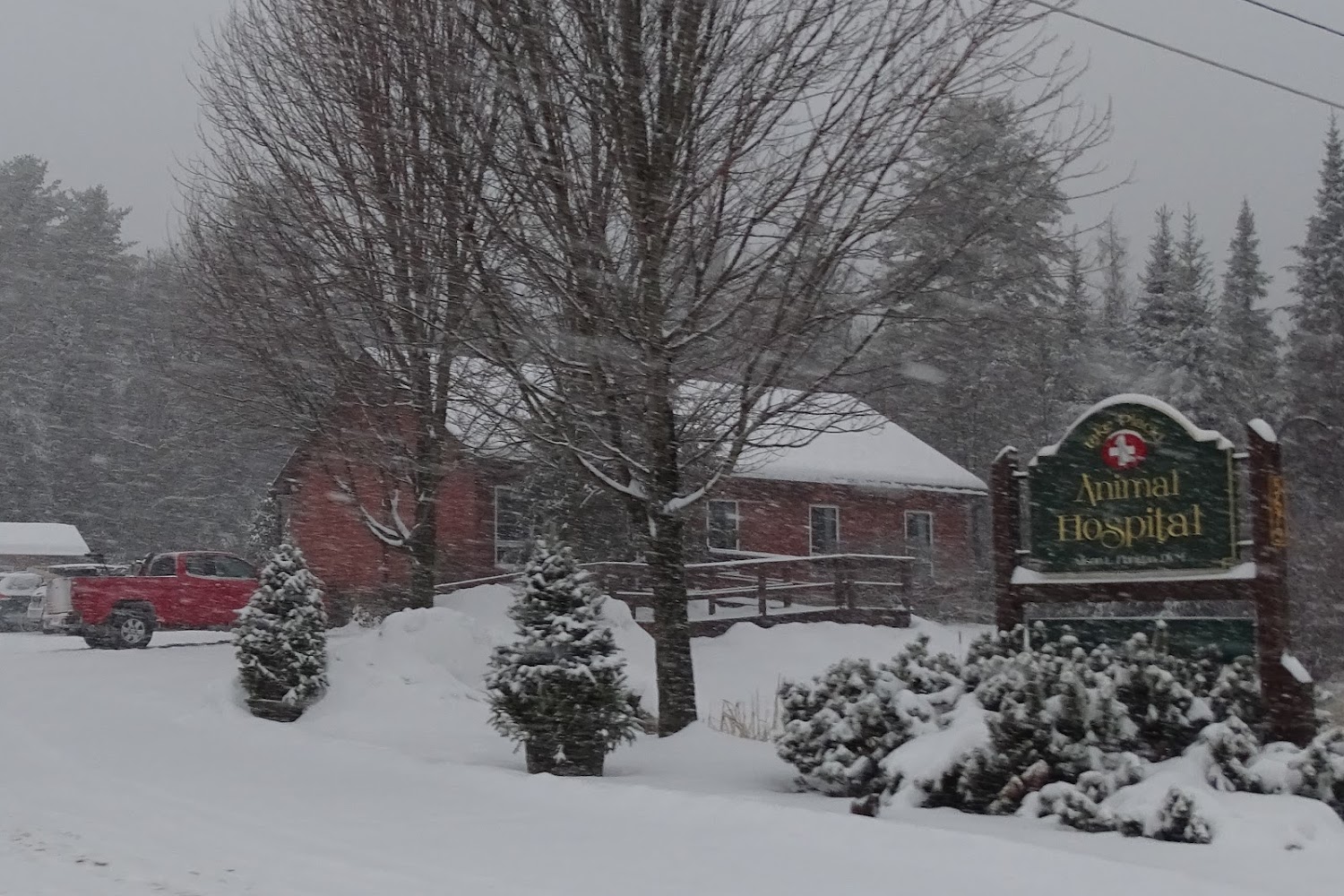 Lake Placid Animal Hospital