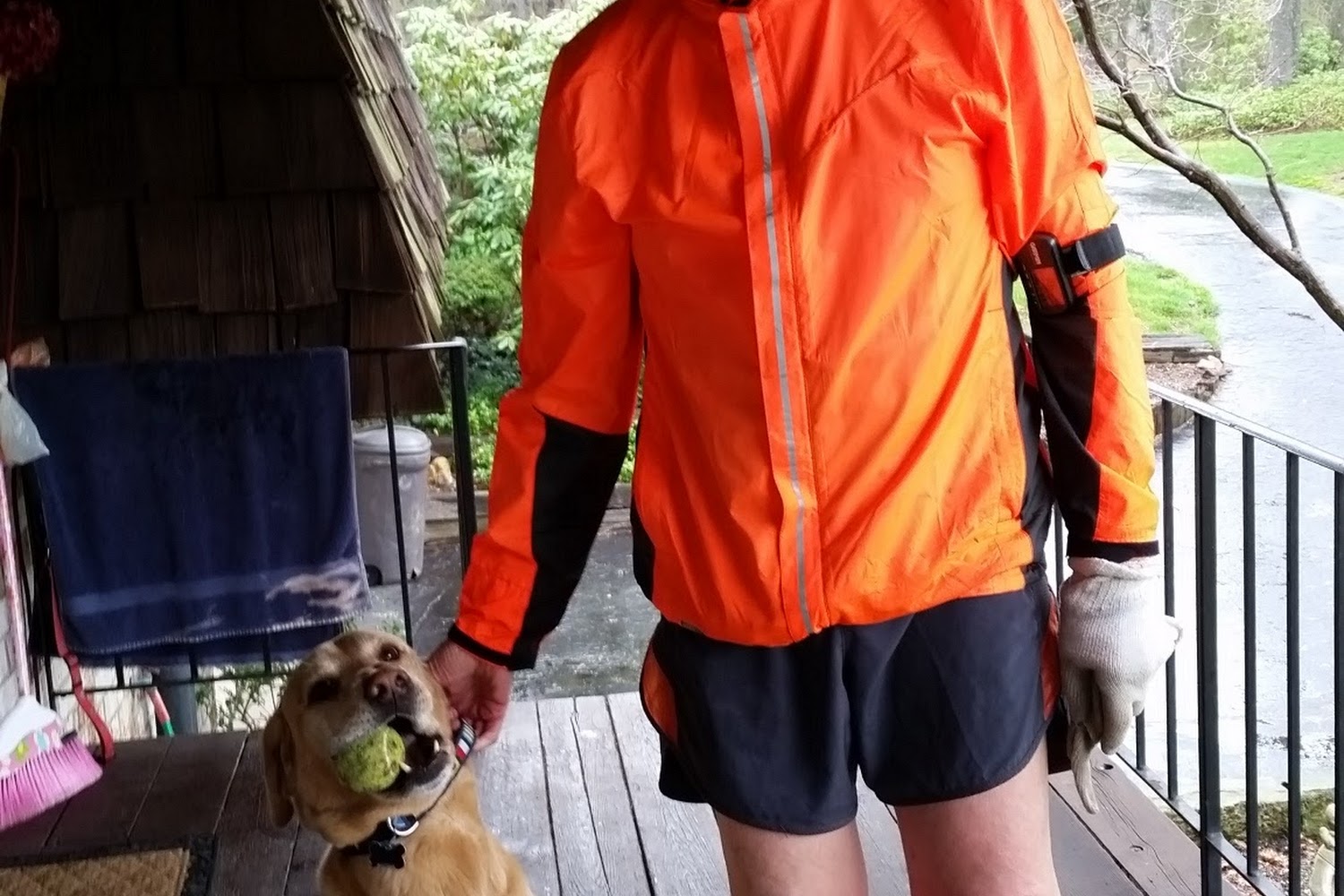 Granger Veterinary Hospital